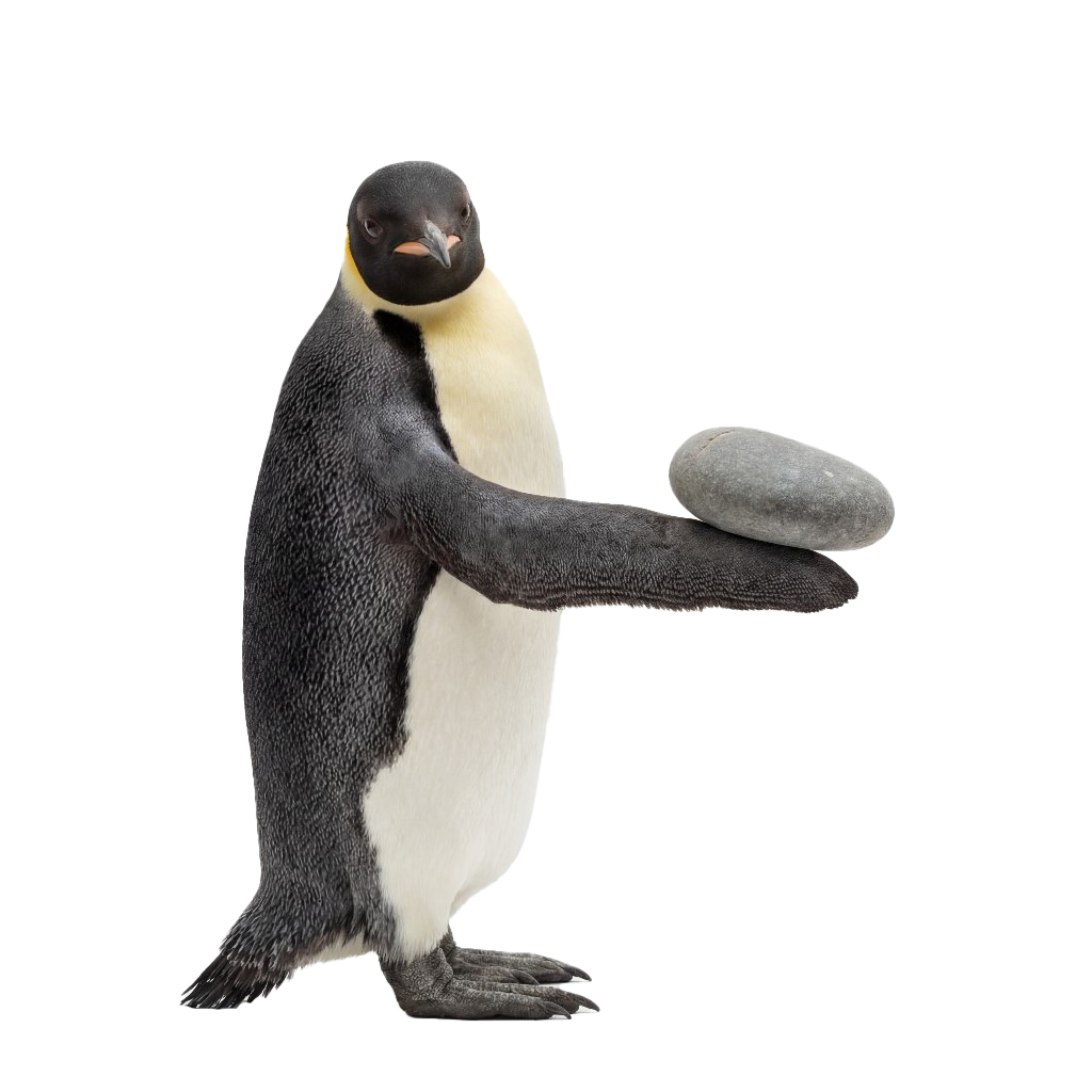 Penguin holding a pebble